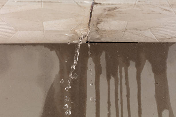 Professional Water Damage Inspection technician working in Hughesville, MD